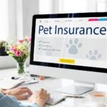 Assicurazione cane