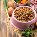 I 7 errori più comuni quando si sceglie il cibo per cani Cibo per cani