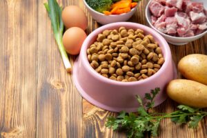 Cibo per cani